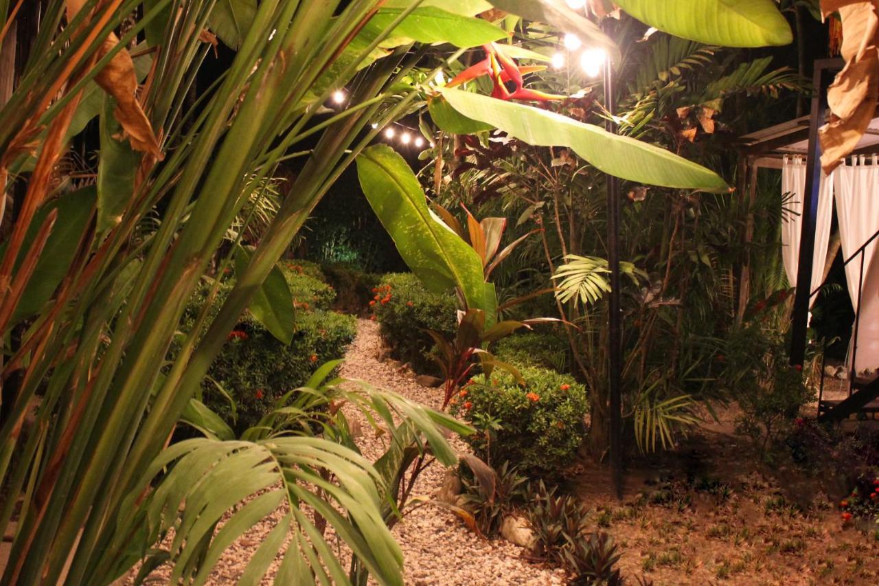 Colibri Apartments - 4 Min Walk To The Beach! Playa Santa Teresa  エクステリア 写真