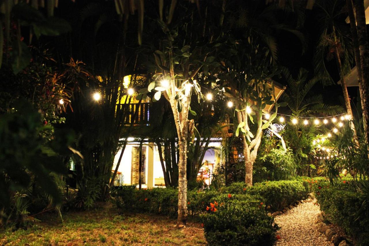 Colibri Apartments - 4 Min Walk To The Beach! Playa Santa Teresa  エクステリア 写真