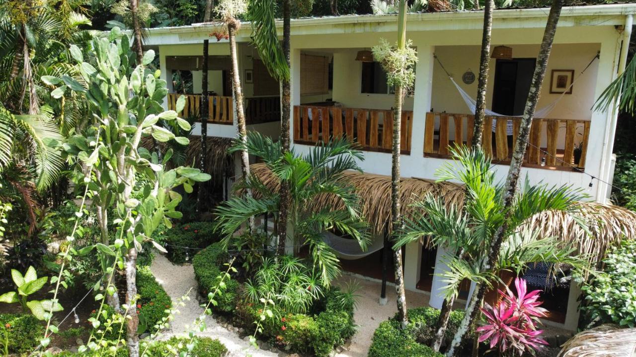 Colibri Apartments - 4 Min Walk To The Beach! Playa Santa Teresa  エクステリア 写真