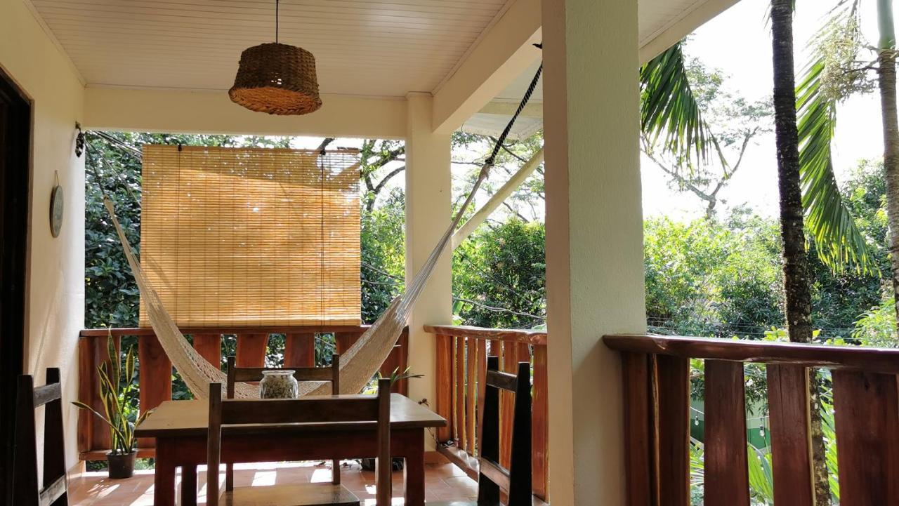 Colibri Apartments - 4 Min Walk To The Beach! Playa Santa Teresa  エクステリア 写真