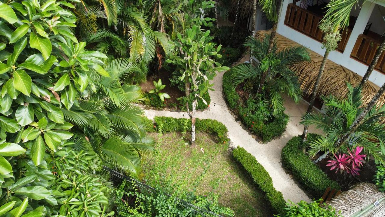 Colibri Apartments - 4 Min Walk To The Beach! Playa Santa Teresa  エクステリア 写真