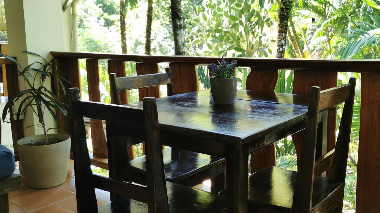 Colibri Apartments - 4 Min Walk To The Beach! Playa Santa Teresa  エクステリア 写真