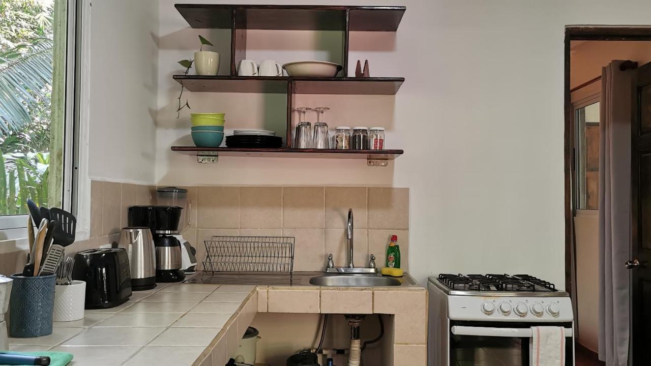 Colibri Apartments - 4 Min Walk To The Beach! Playa Santa Teresa  エクステリア 写真