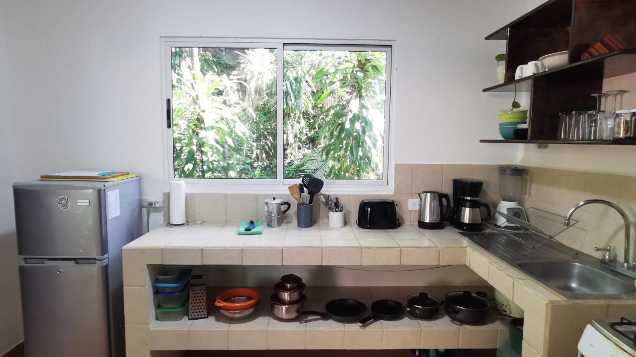Colibri Apartments - 4 Min Walk To The Beach! Playa Santa Teresa  エクステリア 写真
