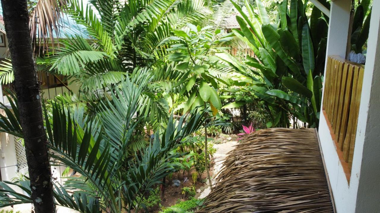 Colibri Apartments - 4 Min Walk To The Beach! Playa Santa Teresa  エクステリア 写真