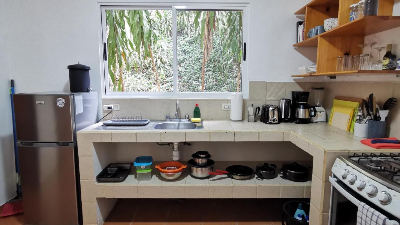 Colibri Apartments - 4 Min Walk To The Beach! Playa Santa Teresa  エクステリア 写真
