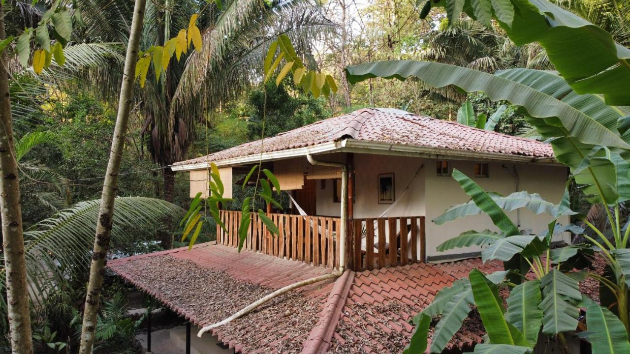 Colibri Apartments - 4 Min Walk To The Beach! Playa Santa Teresa  エクステリア 写真