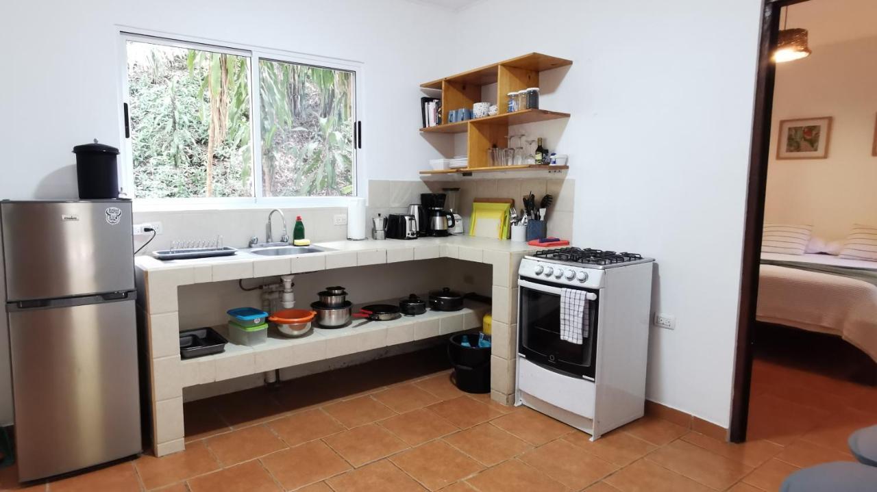 Colibri Apartments - 4 Min Walk To The Beach! Playa Santa Teresa  エクステリア 写真