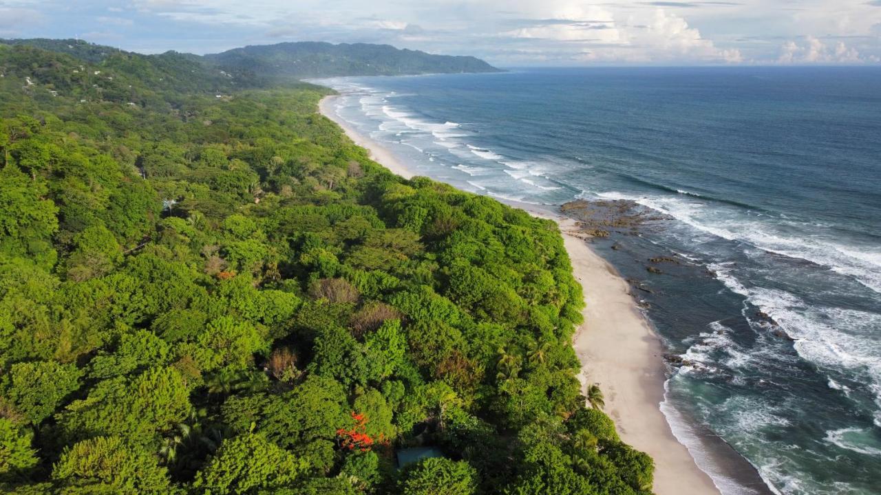 Colibri Apartments - 4 Min Walk To The Beach! Playa Santa Teresa  エクステリア 写真