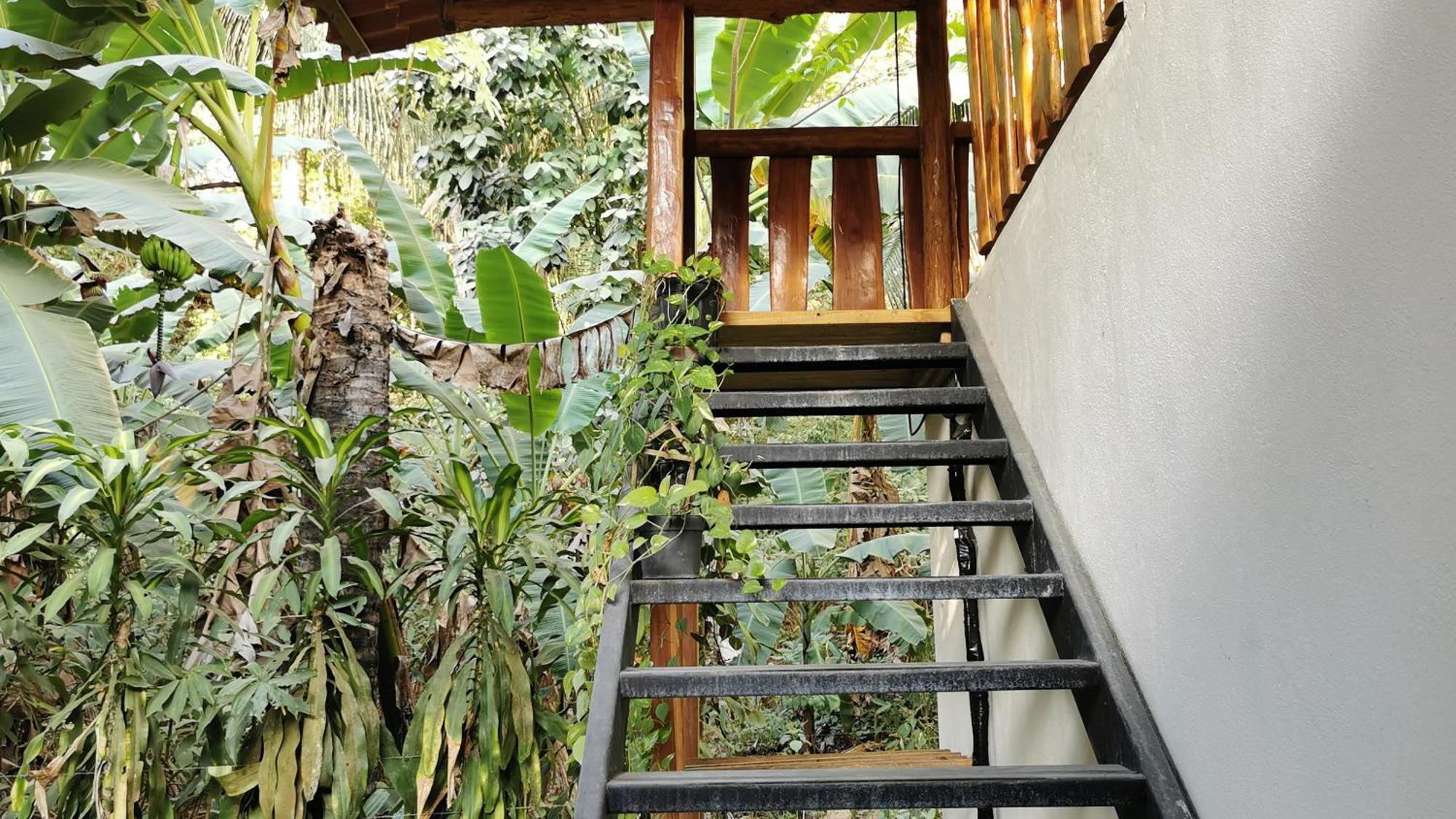 Colibri Apartments - 4 Min Walk To The Beach! Playa Santa Teresa  部屋 写真