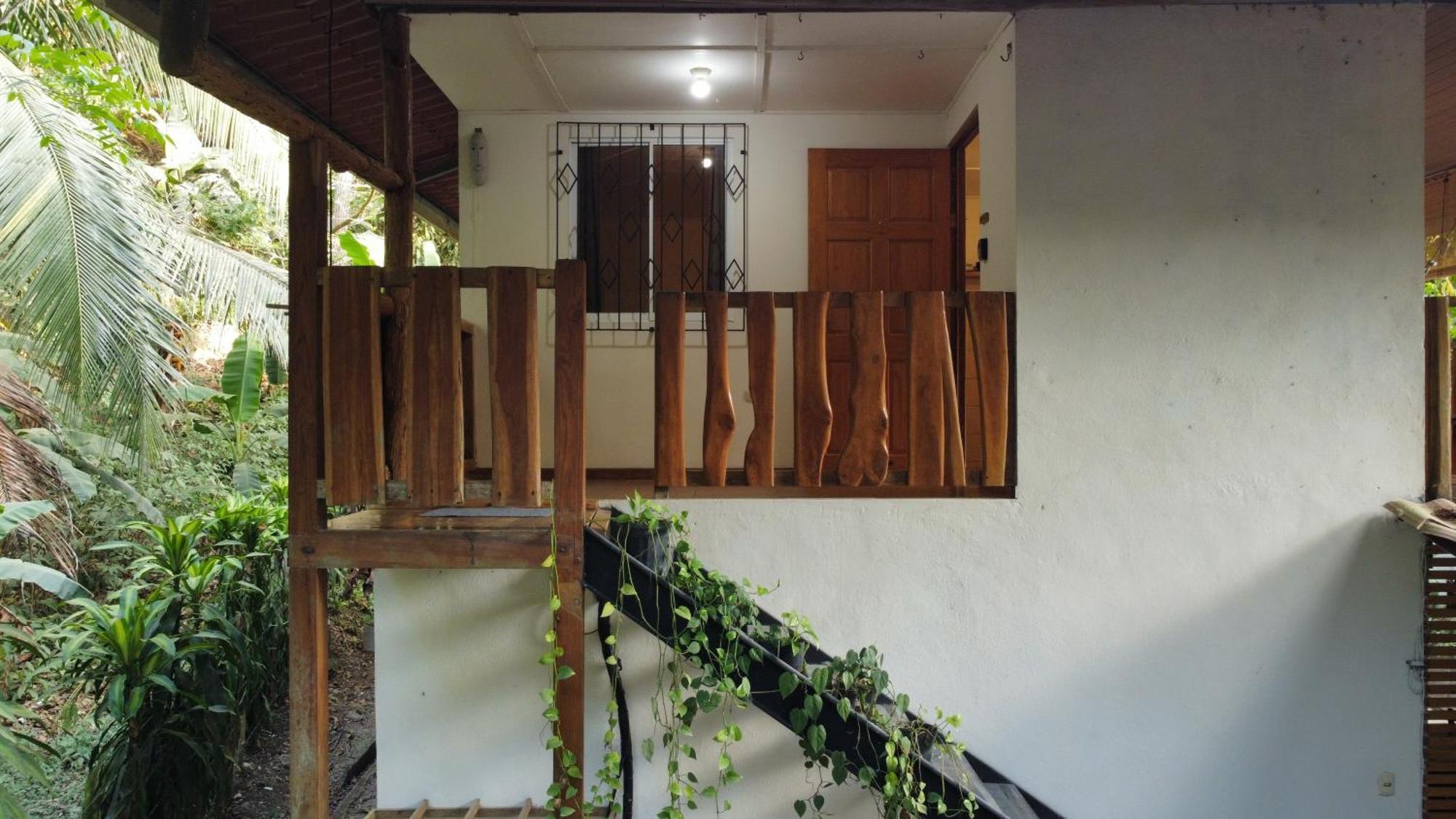 Colibri Apartments - 4 Min Walk To The Beach! Playa Santa Teresa  部屋 写真