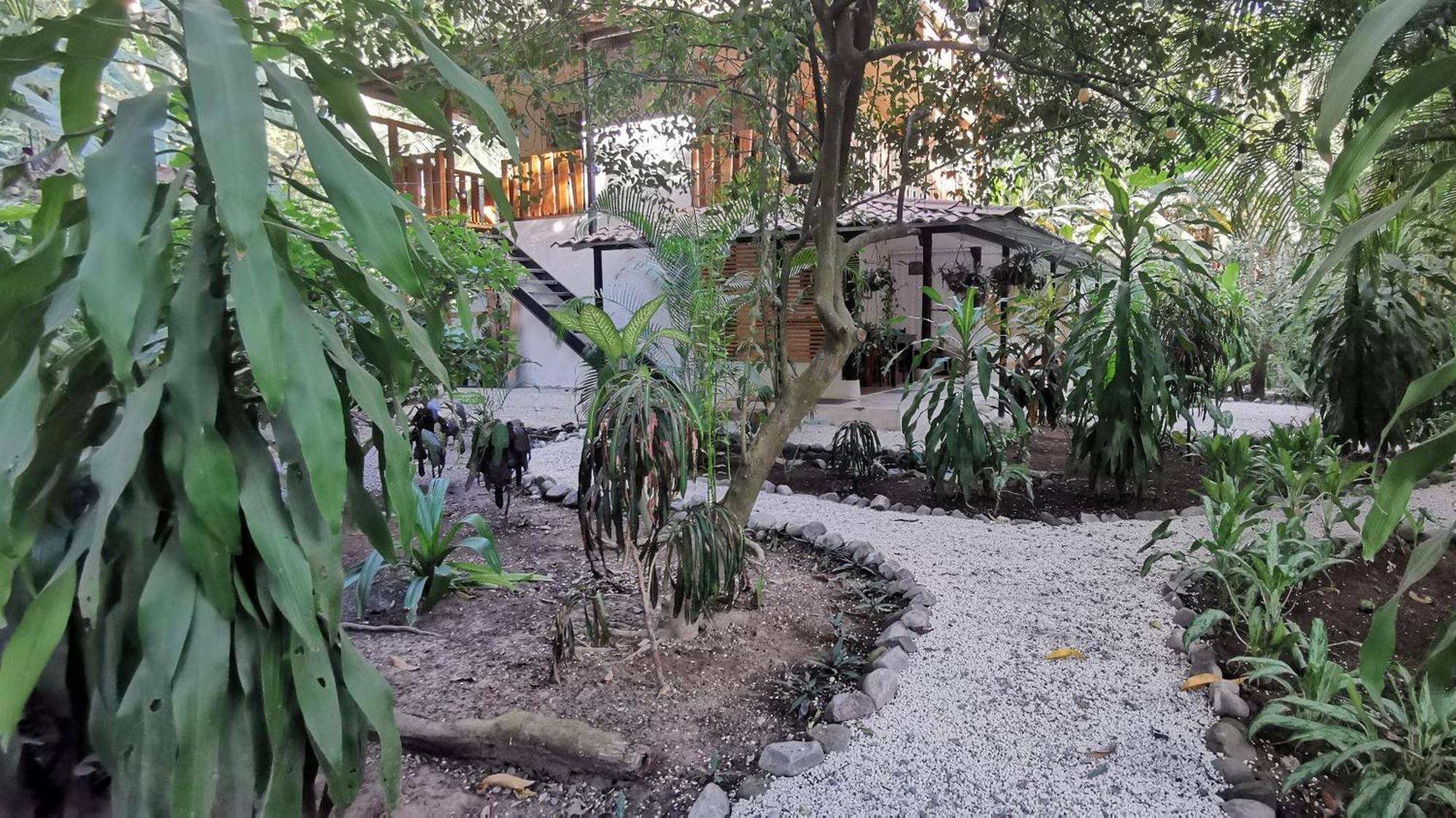 Colibri Apartments - 4 Min Walk To The Beach! Playa Santa Teresa  部屋 写真