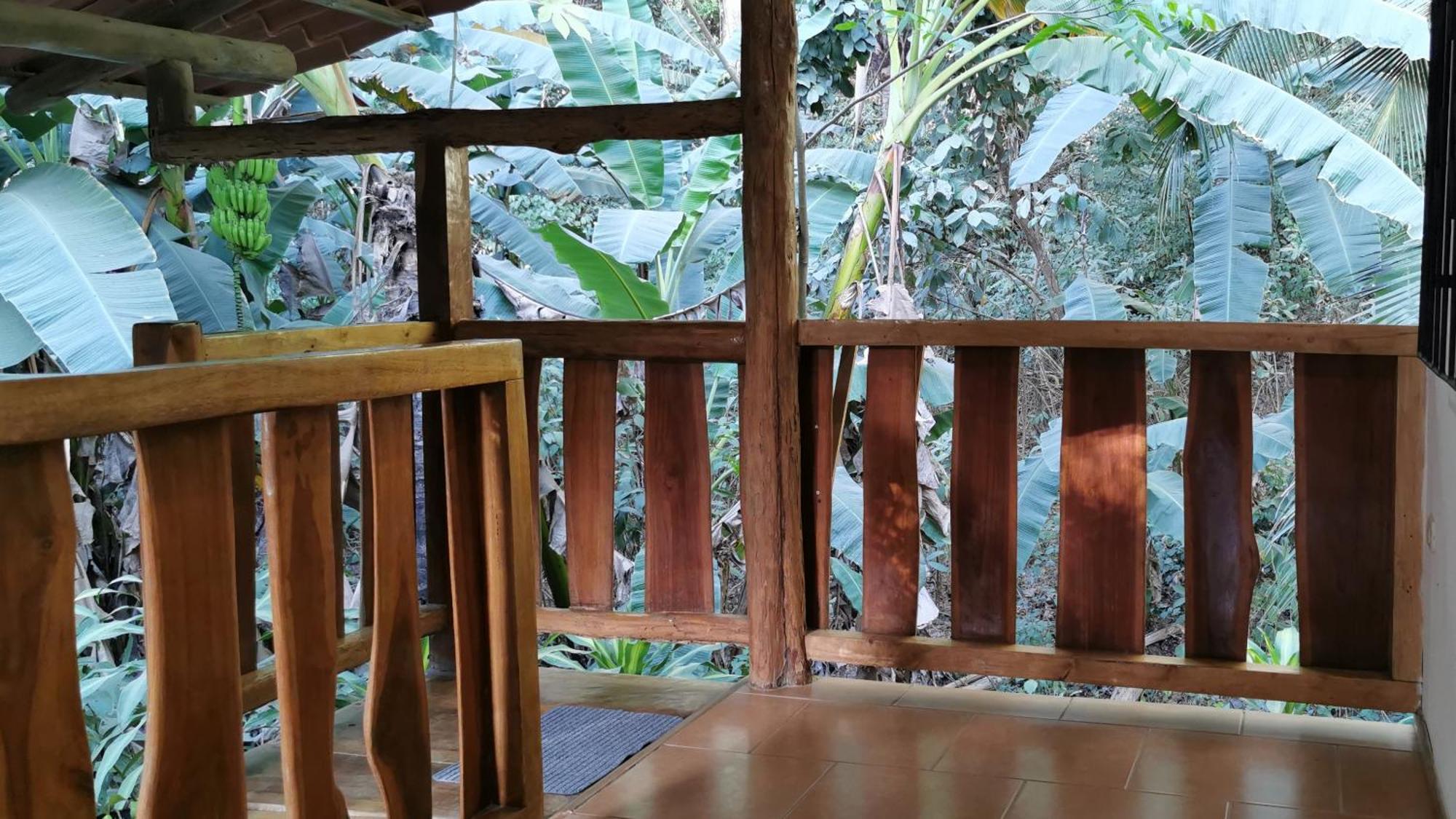 Colibri Apartments - 4 Min Walk To The Beach! Playa Santa Teresa  部屋 写真