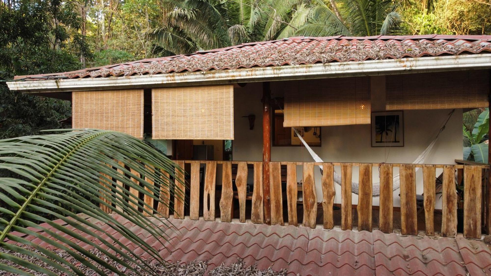Colibri Apartments - 4 Min Walk To The Beach! Playa Santa Teresa  部屋 写真