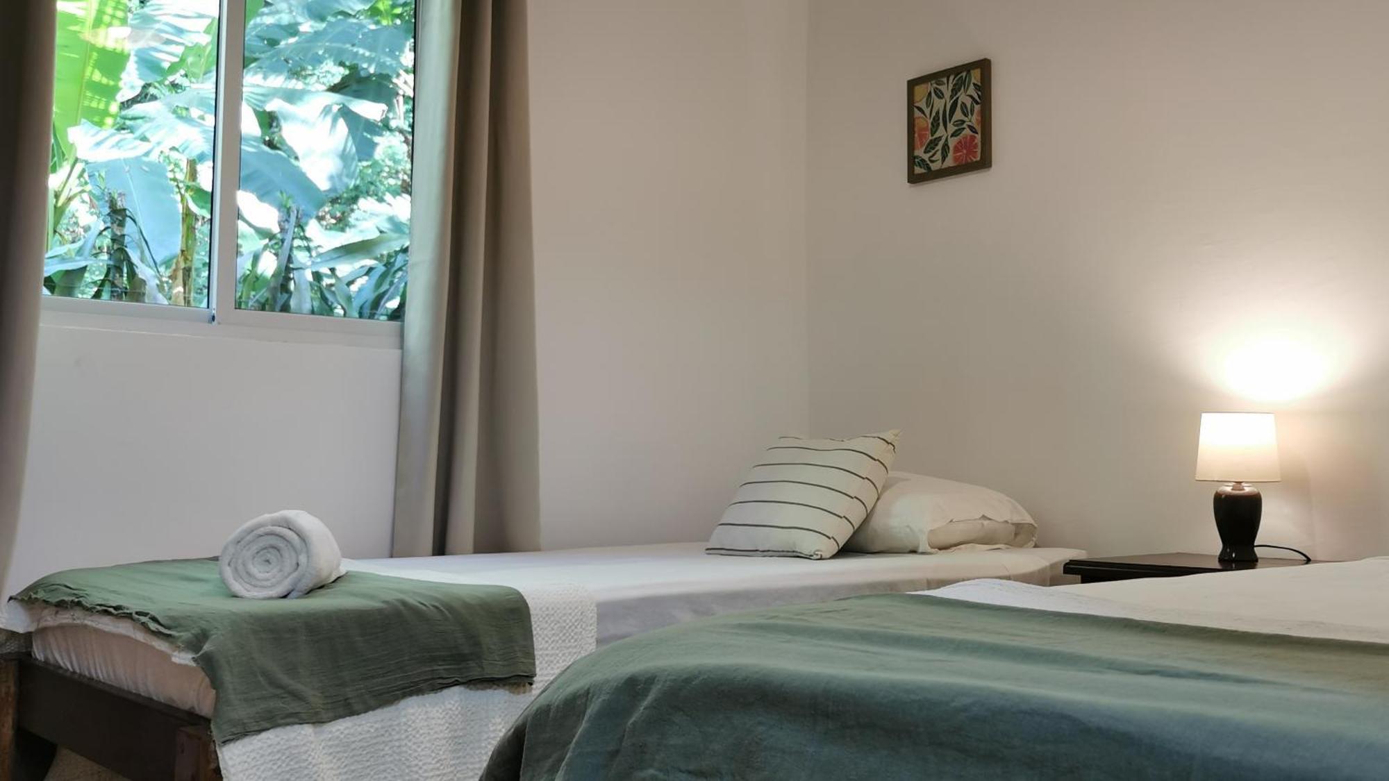 Colibri Apartments - 4 Min Walk To The Beach! Playa Santa Teresa  部屋 写真