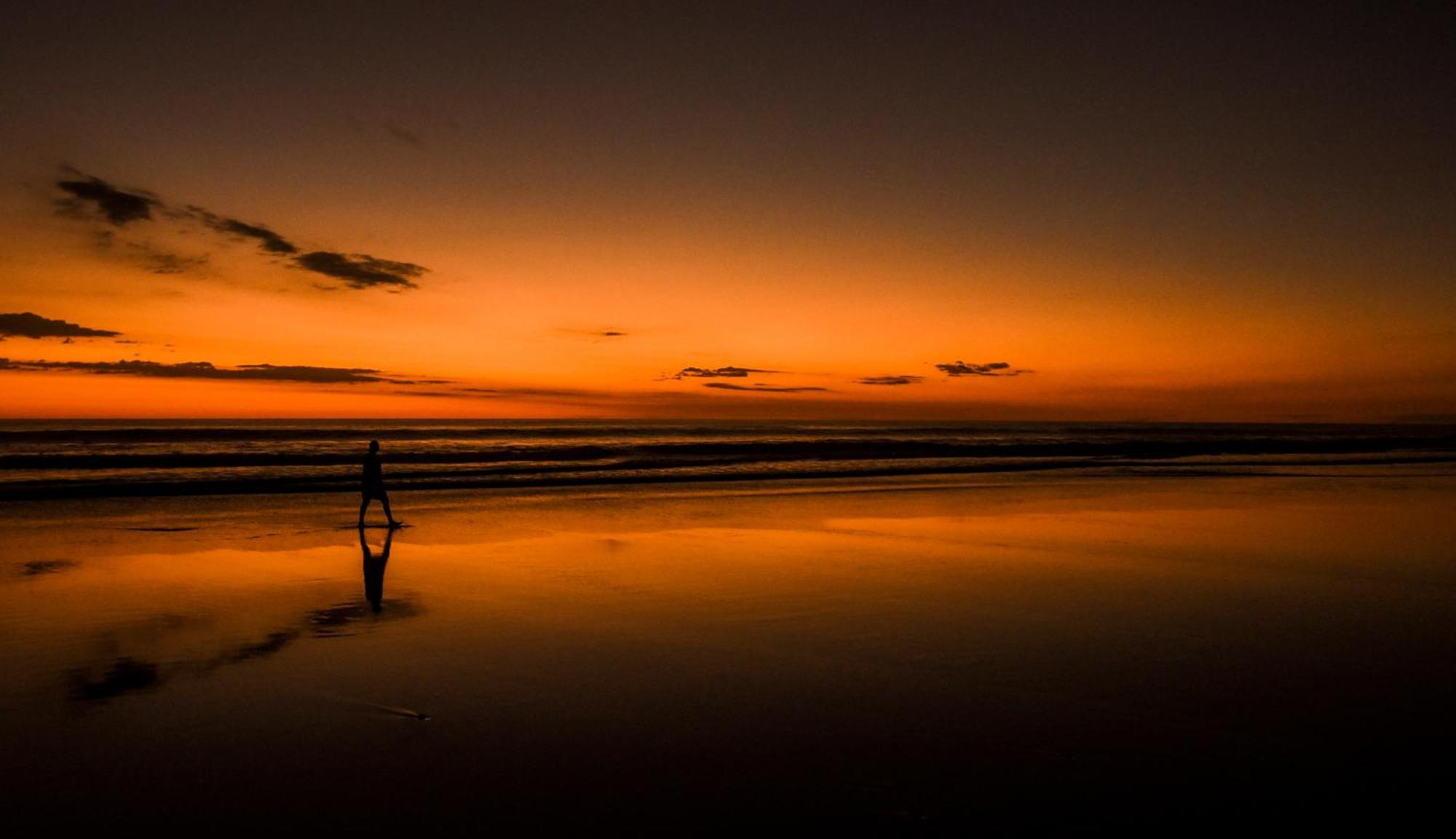 Colibri Apartments - 4 Min Walk To The Beach! Playa Santa Teresa  エクステリア 写真