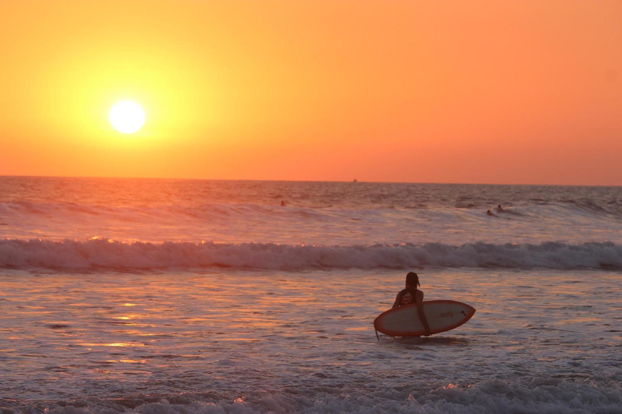Colibri Apartments - 4 Min Walk To The Beach! Playa Santa Teresa  エクステリア 写真