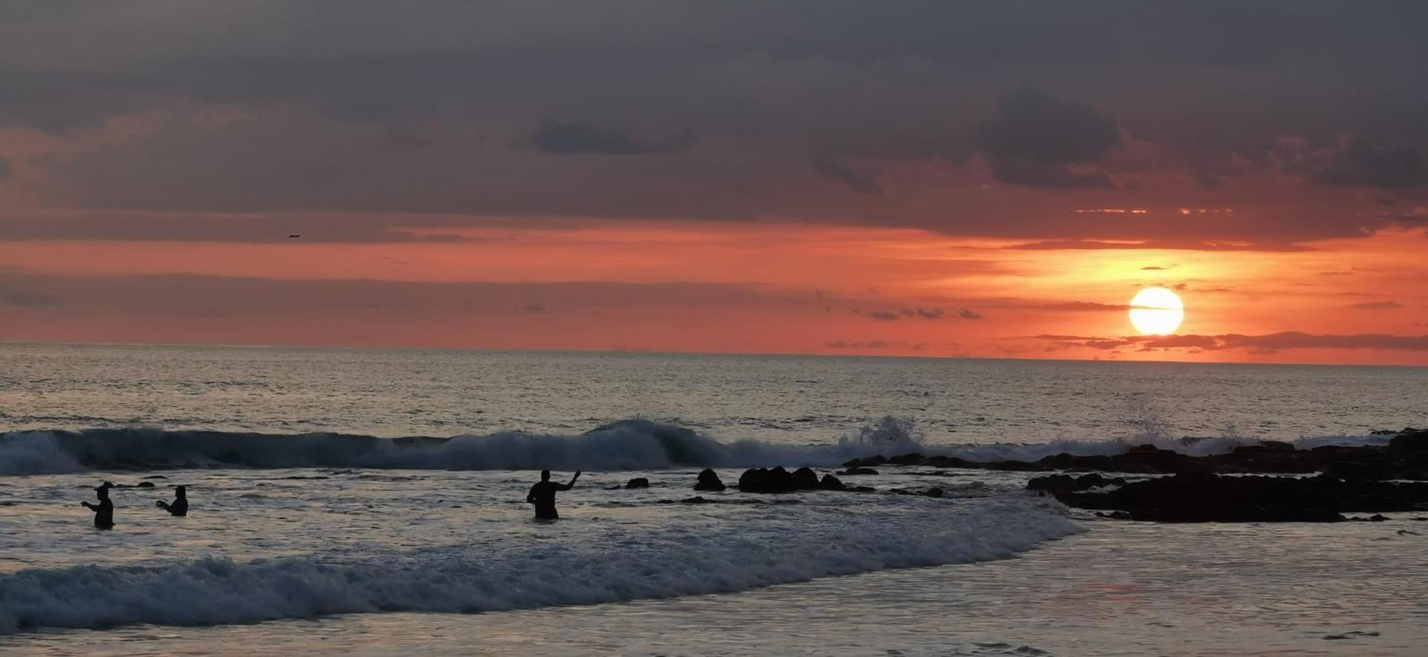Colibri Apartments - 4 Min Walk To The Beach! Playa Santa Teresa  エクステリア 写真