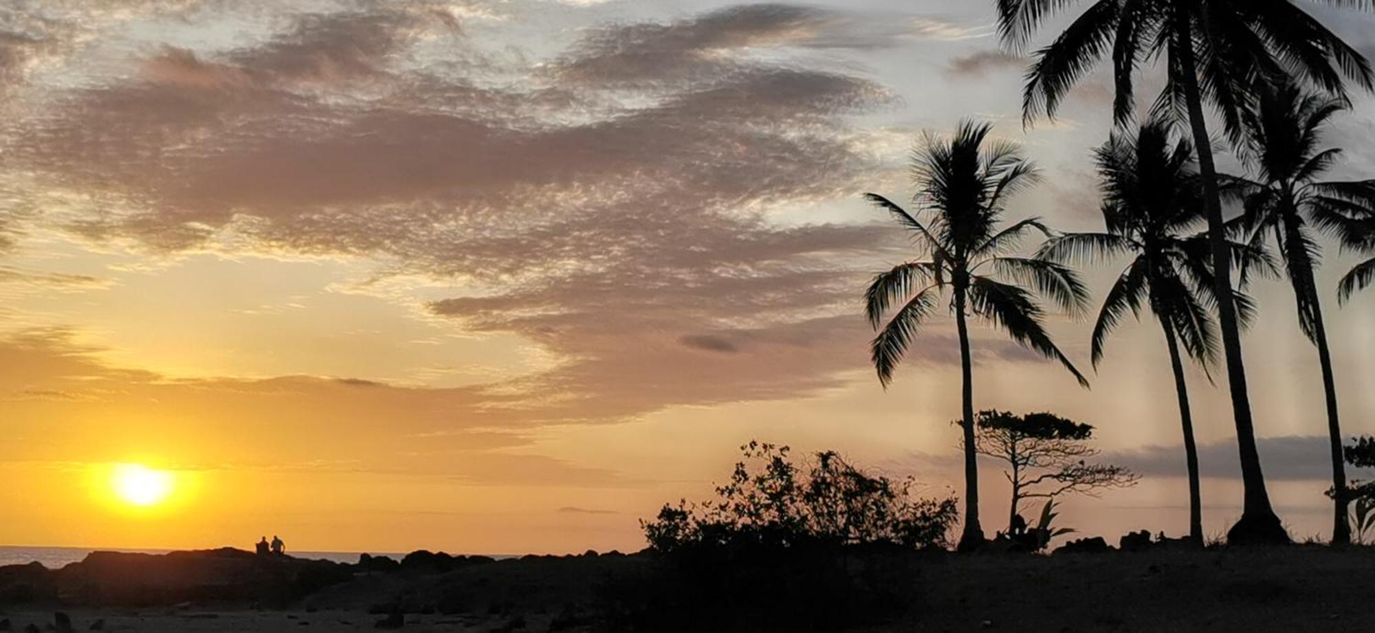 Colibri Apartments - 4 Min Walk To The Beach! Playa Santa Teresa  エクステリア 写真