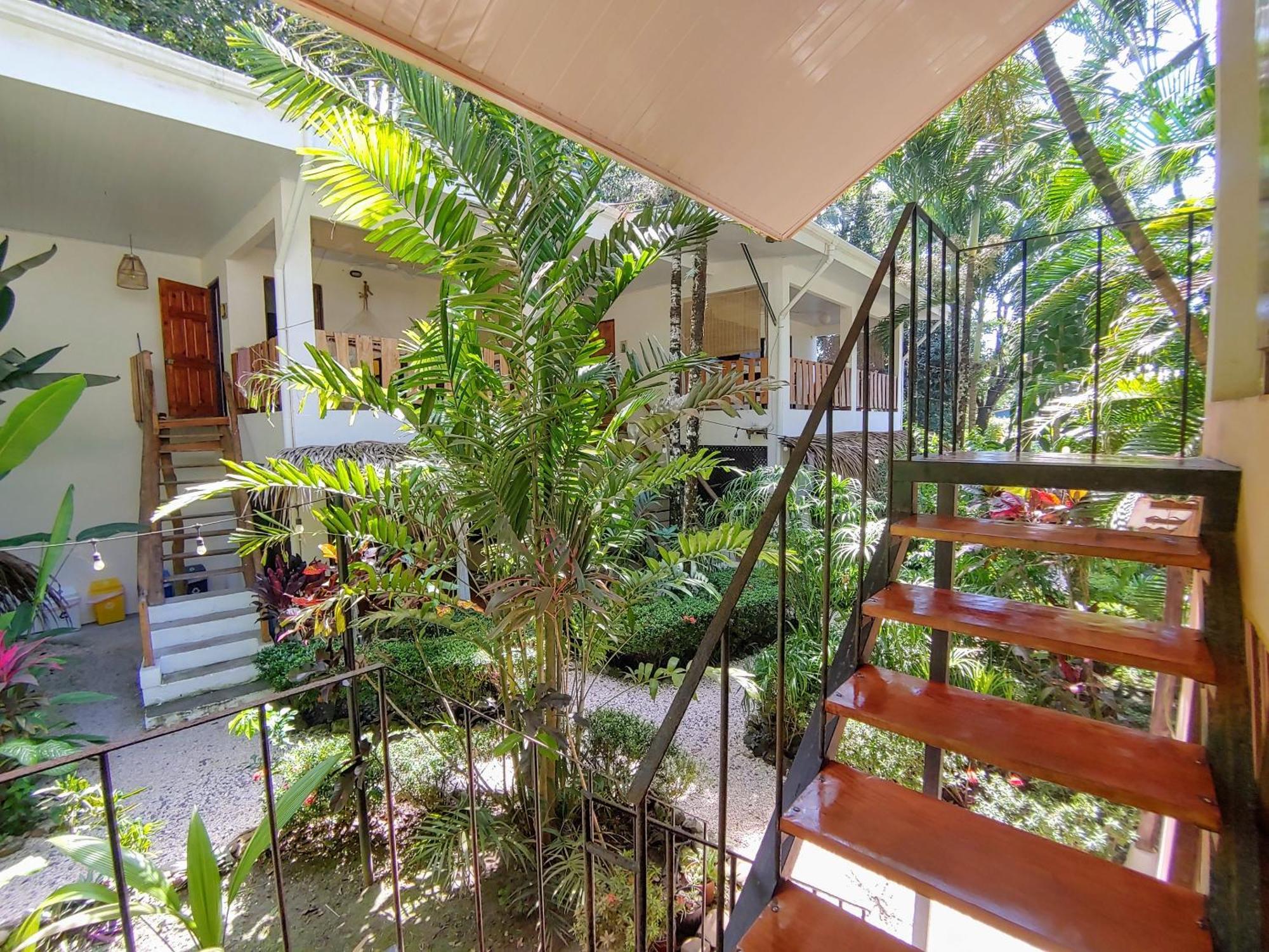 Colibri Apartments - 4 Min Walk To The Beach! Playa Santa Teresa  エクステリア 写真